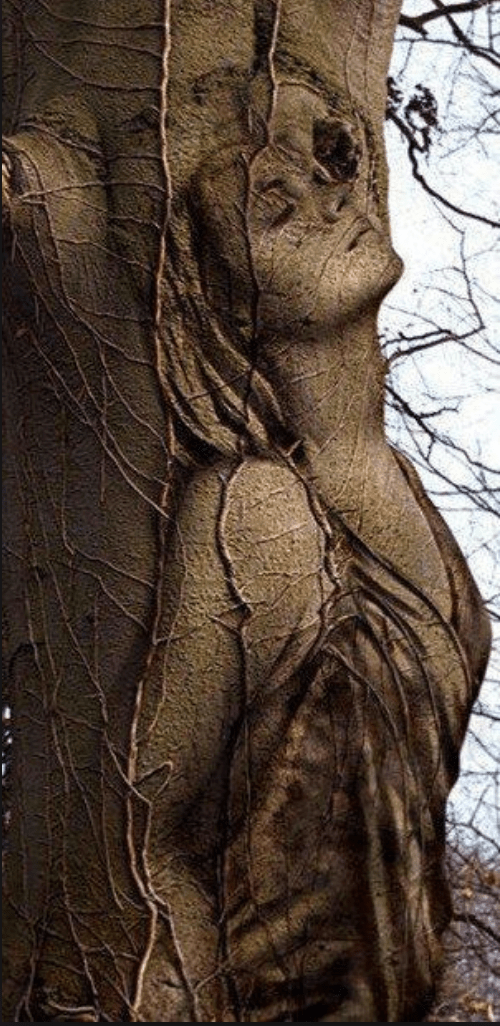 Screen Shot 2019-05-24 at 6.47.40 PM